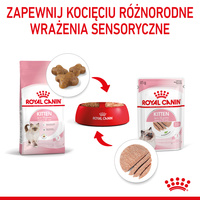 ROYAL CANIN Kitten Pate 12x85g
