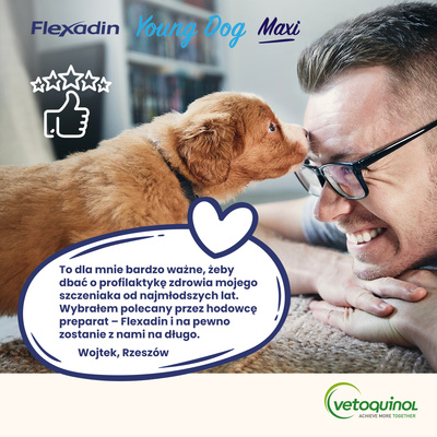 VETOQUINOL Flexadin Jonge Hond Maxi 60 pods
