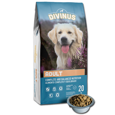 Divinus Adult voor volwassen honden 20kg