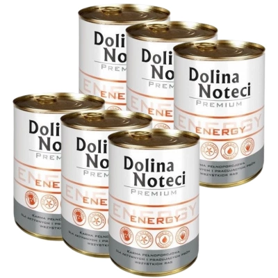 Dolina Noteci Premium Energie 6x400g 
