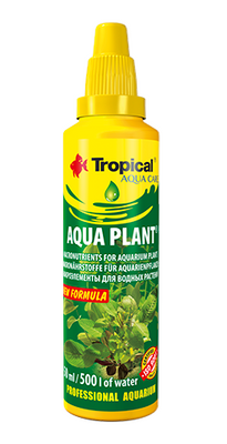 Tropical Waterplant 100ml