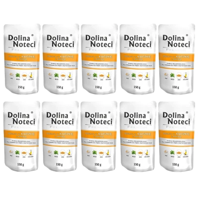 Dolina Noteci Premium Eend met Pompoen 10x150g