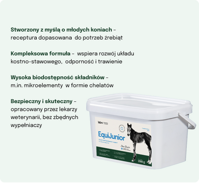 Lab-v EquiJunior - Aanvullend diervoeder voor veulens ter ondersteuning van de groei, ontwikkeling en juiste voeding van jonge paarden en pony's 2kg