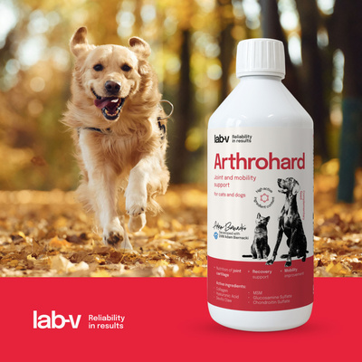 LAB-V Arthrohard 500ml Gewrichtsondersteunende formule voor hond en kat