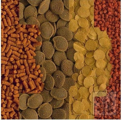 Tetra Crusta Menu 100ml