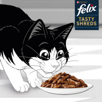 FELIX Smakelijke Snippers Voedsel voor Volwassen Katten land smaken in saus 4x80g