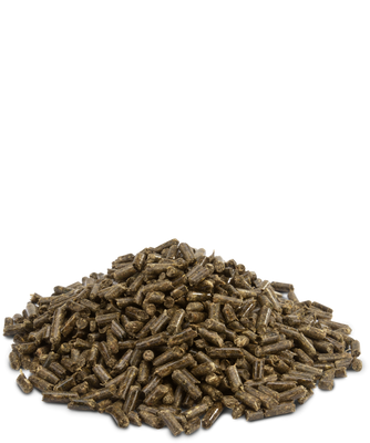 Versele-Laga Crispy Pellets Chinchilla & Degu 1kg