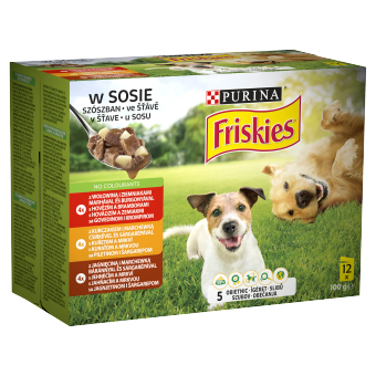 PURINA Friskies Hondenvoer in saus 12x85g