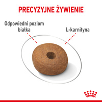 ROYAL CANIN CCN Medium Light Weight Care 12kg