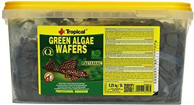 Tropical Groene algen wafels 5000ml