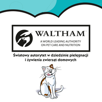 DREAMIES Zalm Kattensnack 60g 