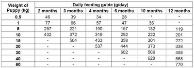 PURE Adventure Puppy (kleine en middelgrote rassen) 12kg