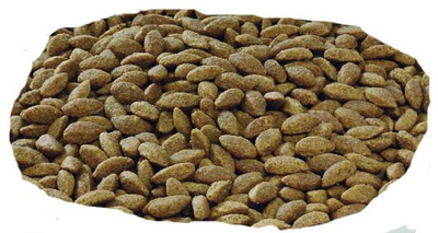 Purina Pro Plan Medium & Large 7+ Sensitive Optiderma Zalm & Rijst 14kg