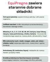 Lab-v EquiPregna - Aanvullend diervoeder voor drachtige en lacterende merries ter ondersteuning van de dracht, foetale ontwikkeling en melkproductie 2kg 