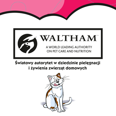 DREAMIES Kattensnack met rundvlees 60g 