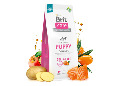 BRIT CARE Dog Grain-free Puppy Salmon 12kg