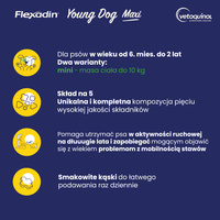 VETOQUINOL Flexadin Jonge Hond Mini 60 pods