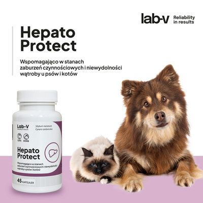 LAB-V Hepato Protect - Leverfunctieondersteuning voor honden en katten 90 capsules