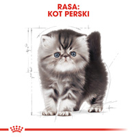 ROYAL CANIN Persian Kitten 10kg