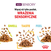 ROYAL CANIN Sensory Taste natvoer, stukjes in saus 12x85g