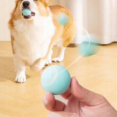 Interactief speeltje voor kat/hond die ontsnapt aan led-bal 