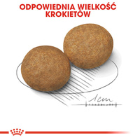 ROYAL CANIN Medium Adult 4kg