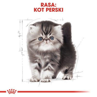 ROYAL CANIN Persian Kitten 10kg