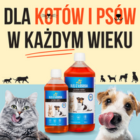 Lab-V 100% Zalmolie voor honden en katten van alle leeftijden 1000 ml Koudgeperst