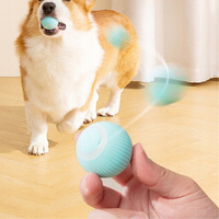 Interactief speeltje voor kat/hond die ontsnapt aan led-bal 