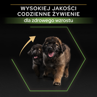 Purina Pro Plan Large Puppy Robust Optistart Kip & Rijst 12kg