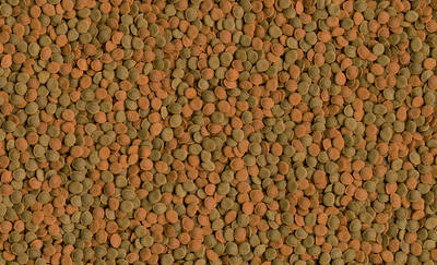 Tetra ouwel mix 100ml 