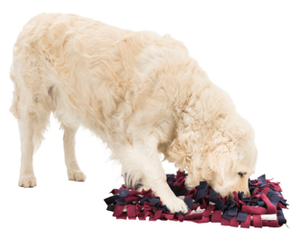 Trixie Activiteitenspel Snuffeltapijt 50x34cm