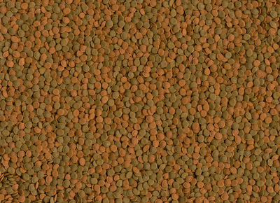 Tetra Wafer Mini Mix 100ml