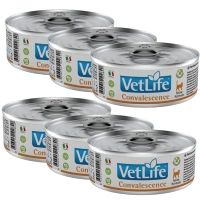 Farmina Vet Life Feline Herstel 6x85g