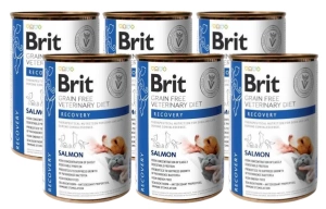 Brit Grain Free Veterinary Diet Hond/Kat Herstel Zalm 6x400g