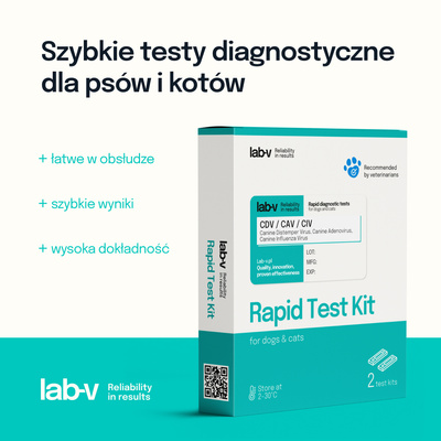 Lab-V CDV &amp; CAV &amp; CIV antigeen - Sneldiagnosetest voor honden 2 st.