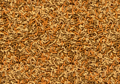 Tetra Vijver Verscheidenheidsstokjes 1l