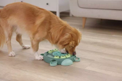 Kerbl Educatief hondenspeeltje, schildpad, turquoise, Ø 25 cm