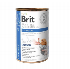 Brit Grain Free Veterinary Diet Hond/Kat Herstel Zalm 400g