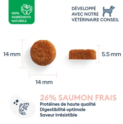 Marly & Dan Adult Hond Middelgroot Ras Verse Zalm Holistic & Hypoallergeen 12kg droogvoer