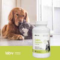 LAB-V Calm Support - Ondersteuning bij symptomen van stress en gedragsstoornissen 90 capsules