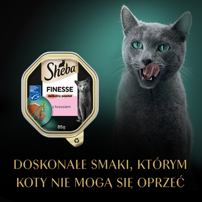 SHEBA Finesse tray 85 g - volledig natvoer voor volwassen katten, met zalm, in pate