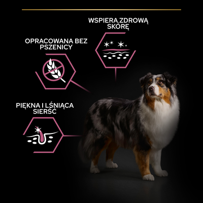 Purina Pro Plan Medium & Large 7+ Sensitive Optiderma Zalm & Rijst 14kg