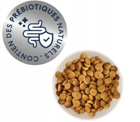 Marly & Dan Adult Dog Large Breed Verse Zalm Holistic & Hypoallergeen 4kg droogvoer