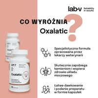 LAB-V Oxalatic - Ondersteuning bij steenvorming door kattenoxalaat 45 capsules