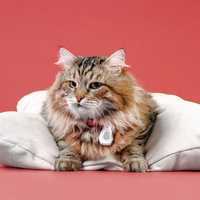 Inmoless Ultrasoon vlooien- en tekenbestrijdingsmiddel voor huisdieren Inmoless Pet - Geel