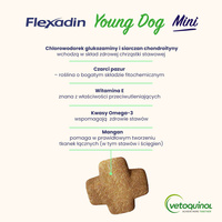 VETOQUINOL Flexadin Jonge Hond Mini 60 pods