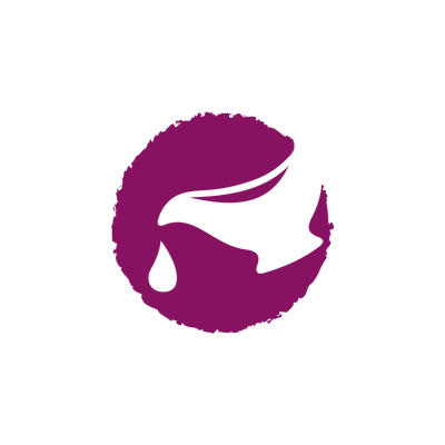 JOSERA Mini Zalm & Kip 10kg