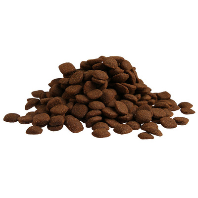 FITMIN For Life Junior Grote Rassen 12kg 