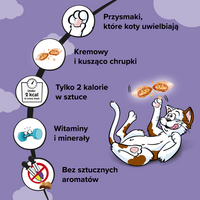 DREAMIES Eend Kattensnack 60g